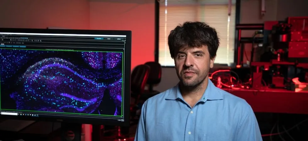 Nobel de Medicina para los padres de la optogenética: la técnica que permite controlar las neuronas con luz
