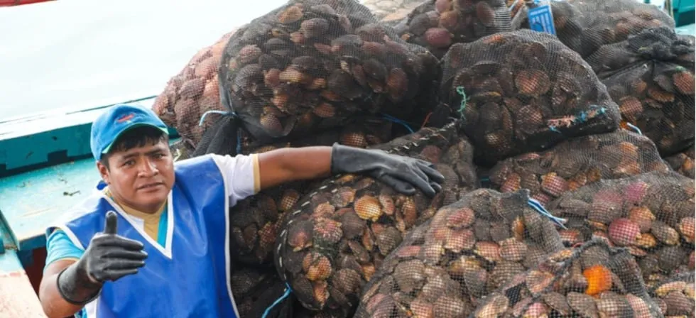 El Niño: Fondepes suspenderá pagos de créditos a maricultores que recibieron préstamos en 2025