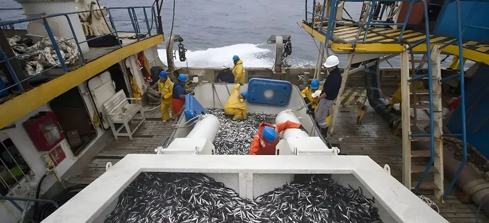 El Niño: Produce declara en emergencia a la pesca y acuicultura