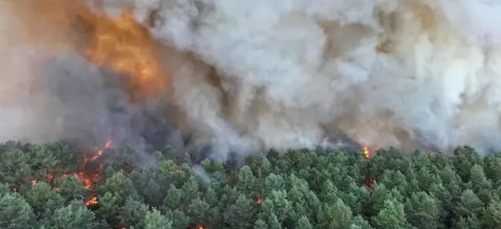 Un incendio, probablemente provocado, arrasa parte del emblemático bosque de Fontainebleau, cerca de París