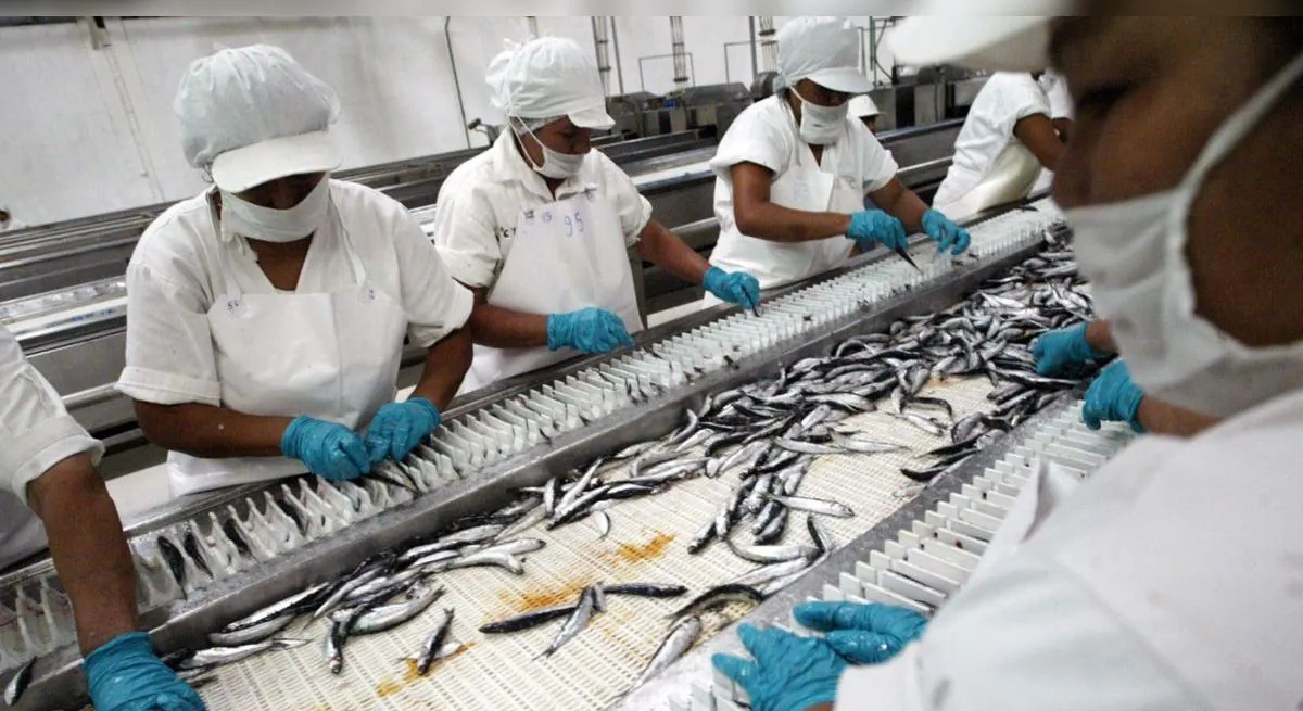 PBI peruano desacelera a 1,8% en mayo tras desplome de la pesca y caída de la manufactura