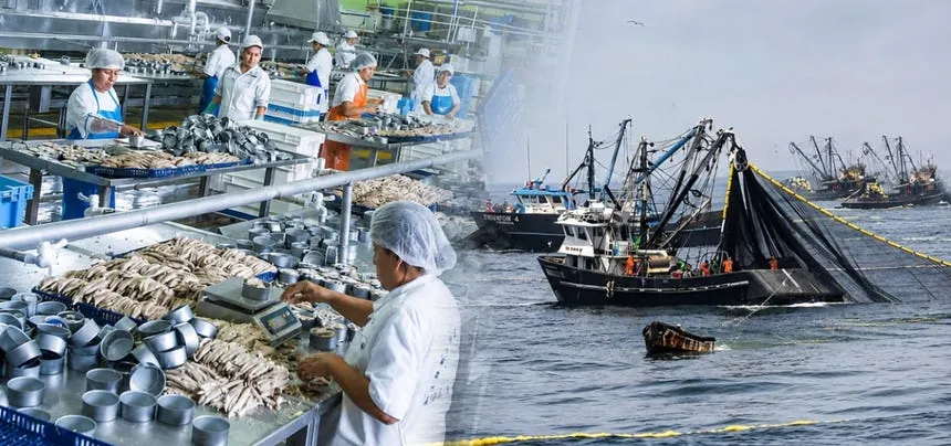 Fenómeno El Niño ya impacta en la economía peruana: PBI arroja su peor resultado del año por fuerte caída de la pesca e industria