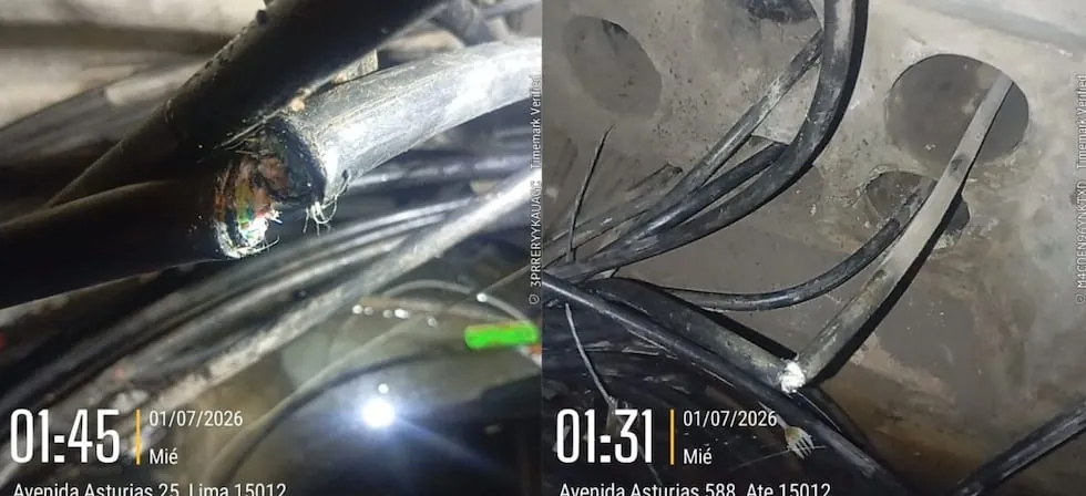 Reportan que sujetos atentaron contra red de fibra óptica de Movistar en La Molina