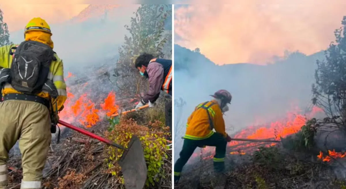 Capturan a presunto responsable del incendio en Sacsayhuamán: fuego consumió tres hectáreas de cultivos de café y cacao en Cusco
