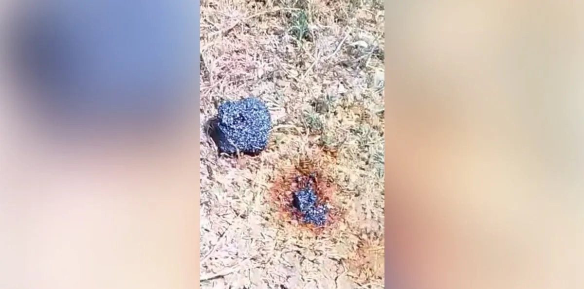 ¿Un Meteorito? Cuba reporta la caída de un extraño objeto en su territorio