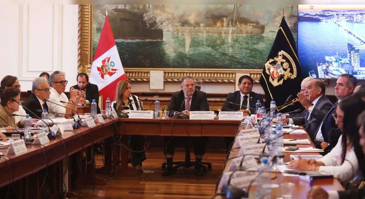 Comisión de Constitución del Senado reanuda este martes el debate sobre la delegación de facultades legislativas