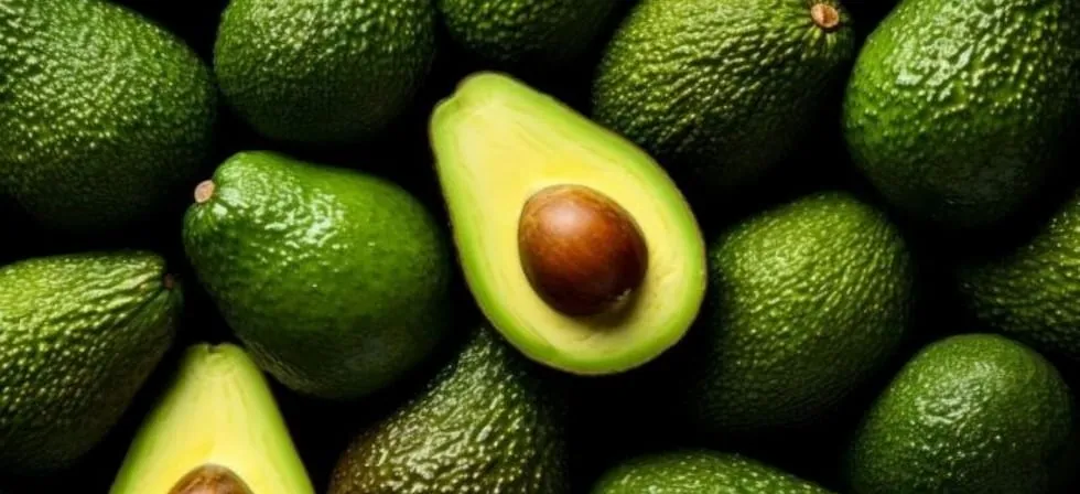 Palta hass: El Niño amenaza inicio de la próxima campaña en Perú, ¿hay alternativas?